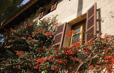 MALLORCA — photo 13